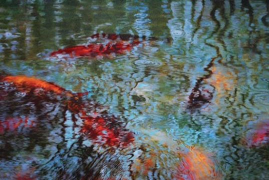 Soon Warren’s “Koi Pond Reflection II”