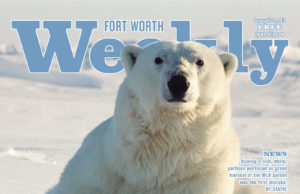 Polarizing Polar Bears