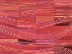 Peter Stephens’ “Firecracker”
