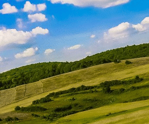 Creekside_300x250_2018.04.04