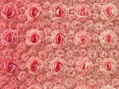 Angela Kallus’ “American Beauty” (detail)