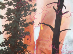 Ann Gilloon’s “Fuchsia”