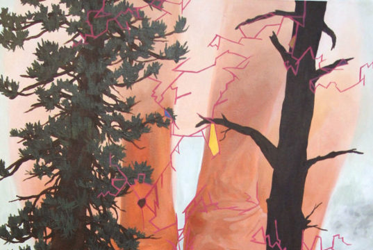 Ann Gilloon’s “Fuchsia”