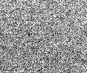 IBYM_FWW_300x250_Animated