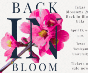 Texas Blossoms 300x250 B