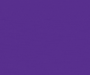 Defiant 300x250 MAY 25