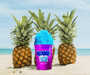 KONA Ice-300x250 Web Ad-SG2023