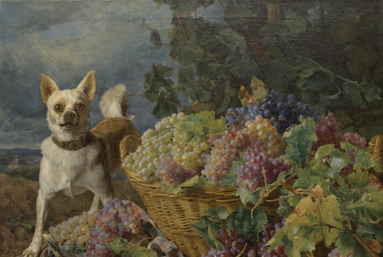 N&D 7.26 // Dog Days of Summer