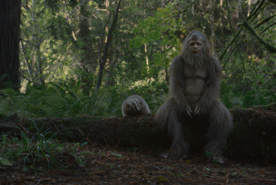 Sasquatch Sunset: The Last of Us