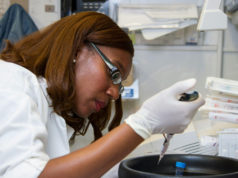 Why Conduct DNA Tests on Animals?