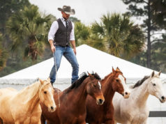 N&D 1.22.25 // Horses & Horsemen of the World, Ghosts of Hill County, & Fort Worth Weekly Music Awards