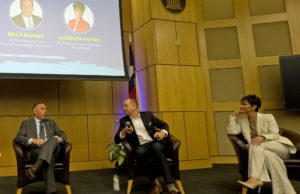 DSC panel
