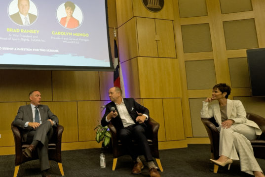 DSC panel