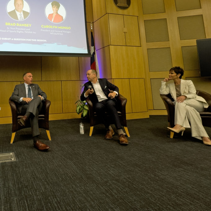 DSC panel