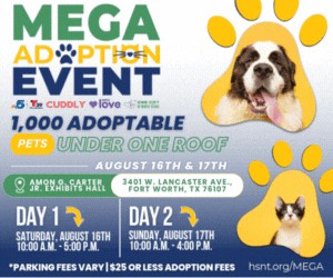 HSNT Mega Event 300x250 Web Ad AUG 25