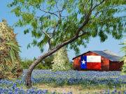 Why Ordering Cannabis Online Is Still Risky in Texas