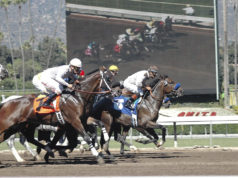 Inside the Track: How Horse Racing Predictions Take Shape