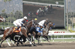 Inside the Track: How Horse Racing Predictions Take Shape