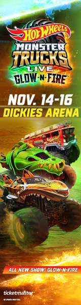 HotWheels_160x600_v1