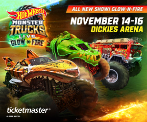 HotWheels_300x250_v1