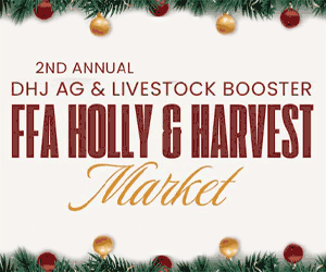 DJH-Market-300x250 DJH-Market-300x250