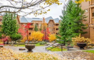 Designing From Inside Out: How To Make Your Fort Worth House And Yard Work Together