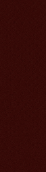 Enchiladas Ole (160 x 600 px)