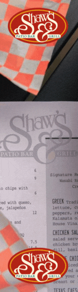 Shaw's Rectangle (160 x 600 px)