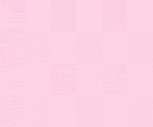 Bearded Lady Galentines Day Brunch Web Ad 300x250