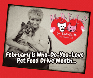 _DF2FM 300X250 Who Do You Love