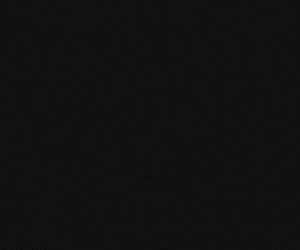 Grackle (300 x 250 px) Grackle (300 x 250 px)