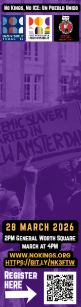 Indvsbl 12 - NK3 Web Ad (160 x 600 px)