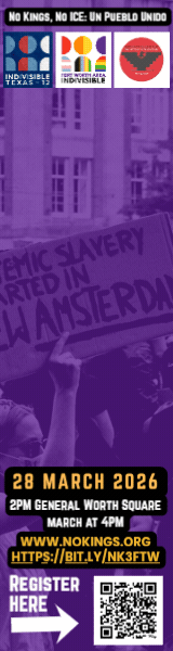 Indvsbl 12 - NK3 Web Ad (160 x 600 px)