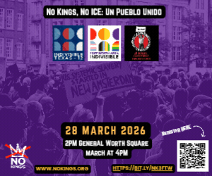 Indvsbl 12 - NK3 Web Ad (300 x 250 px) Indvsbl 12 - NK3 Web Ad (300 x 250 px)