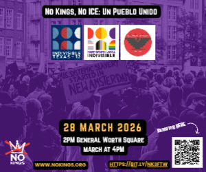 Indvsbl 12 - NK3 Web Ad (300 x 250 px)