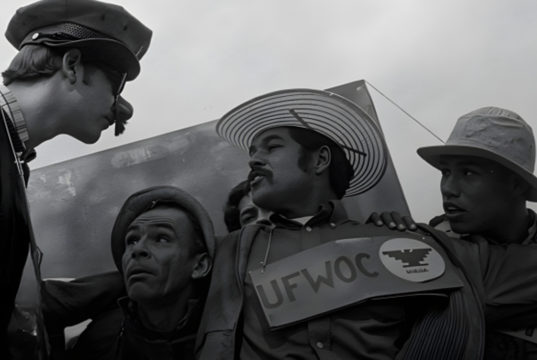 Film Shorts // Thin Line Fest 2026