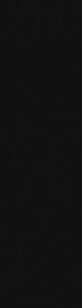 Grackle (160 x 600 px)