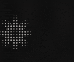 Grackle Gallery (300 x 250 px)