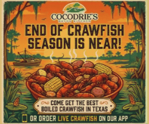 Cocodries 300x250 Web Ad Cocodries 300x250 Web Ad