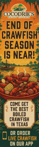 Cocodries Web Ad (160x600)