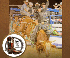 Lewisville-Western-300x250