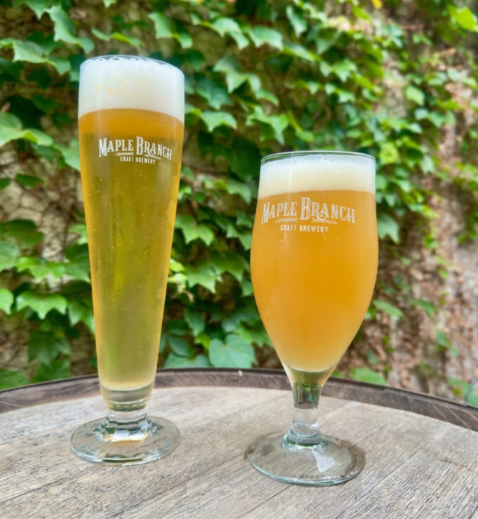 Maple-Branch-Glasses