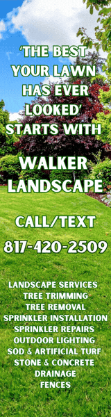 Walker Landscape 160x600