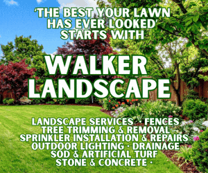 Walker Landscape 300x250