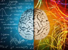7 Reasons Why Humans Are Fascinated By Uncertainty