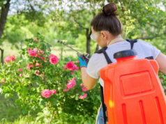 Tips to Clean and Maintain a Battery-Powered Backpack Sprayer?