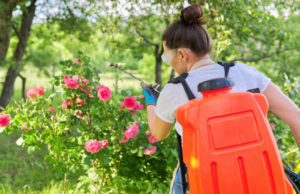 Tips to Clean and Maintain a Battery-Powered Backpack Sprayer?