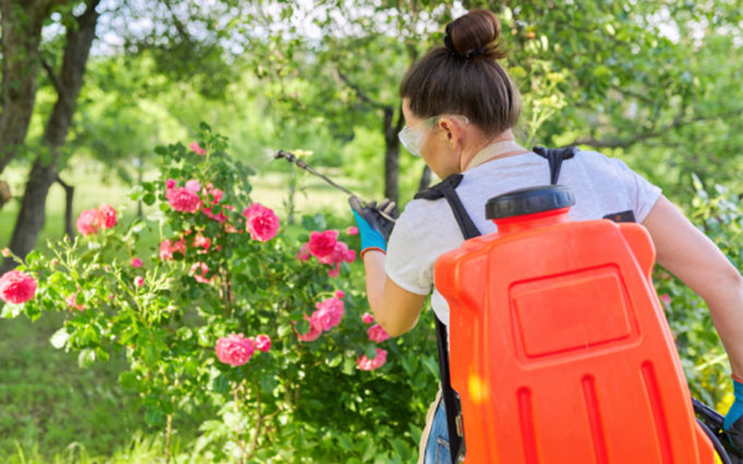 Backpack-sprayer