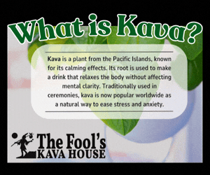 Fools Kava 300x250