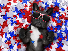 Night & Day: The Red, White & Blue Edition